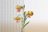 Nature background psd with flower behind patterned glass