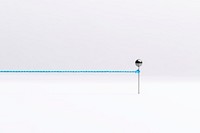Abstract white background, pin with string