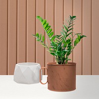 ZZ plant psd mockup in a metallic copper pot