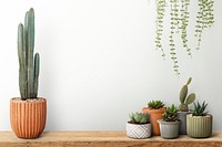 Wall mockup psd with cute cacti on a shelf