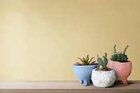 Wall mockup psd with cute cacti on a shelf