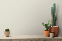Wall mockup psd with cactus on a shelf