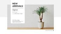 New arrivals template vector with agave tree