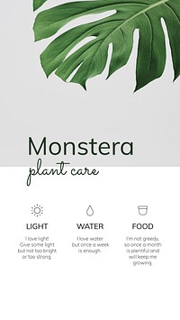 Houseplant template vector Monstera plant care