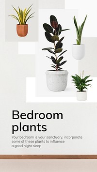 Interior decor template vector bedroom plants