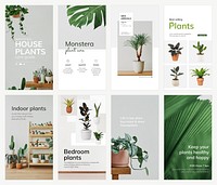 Indoor gardening template vector set for social media stories