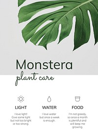 Houseplant template vector Monstera plant care