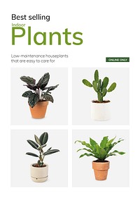 Garden shop template vector best selling indoor plants