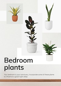 Interior decor template psd bedroom plants