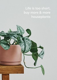 Houseplant quote template psd, life is short buy more and more houseplants