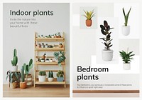 Houseplant poster template psd set for indoor gardening