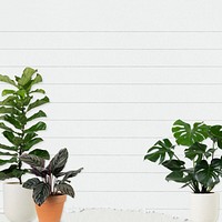 Lined paper background psd with plants