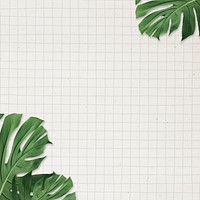 Monstera leaf frame psd grid paper background