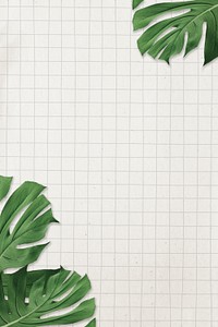 Monstera leaf frame psd grid paper background