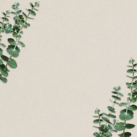 Eucalyptus border frame psd on beige background