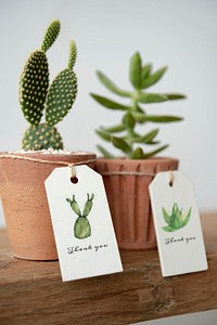 Paper tag mockup psd on cute cactus pots