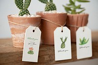 Paper tag mockup psd on cute cactus pots