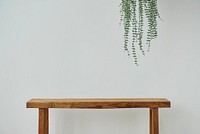 Minimal wall with angel vine plant and wooden bench