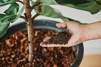 Woman taking care of her plant baby