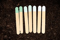 Popsicle garden markers psd mockup in soil
