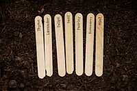 Popsicle garden markers psd mockup in soil