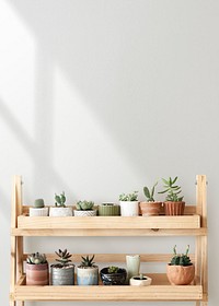 Wooden plant shelf against a blank wall