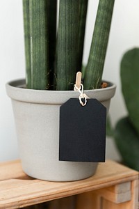 Label mockup psd on a gray pot with a plant