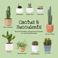 Cactus and succulent psd template