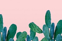 Cactus border on pink background