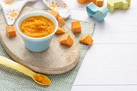 Homemade pumpkin puree baby food