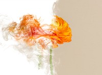 Rose background psd, abstract smoke texture in aesthetic design