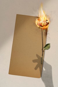 Aesthetic paper mockup, flaming rose remix with blank design space psd