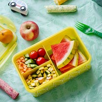 Kids picnic food box with watermelon and veggies