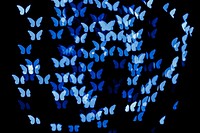 Blue butterfly bokeh background psd