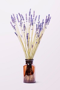 Lavenders in glass vase, flower arrangement, home decor