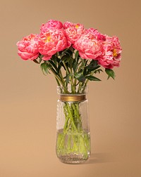 Pink peonies in glass vase, isolated object design psd