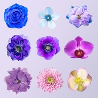 Blue and purple flower, collage element psd set