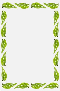 Green leaves rectangle frame on white background