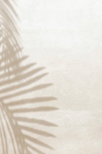 Shadow of palm leaves design element