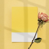 Blank yellow paper with dried rose on a yellow background