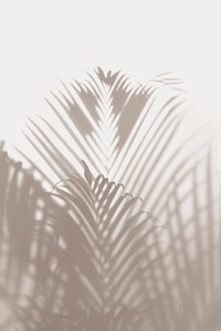Blurred green palm leaves on off white background