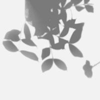 Shadow of leaves design element