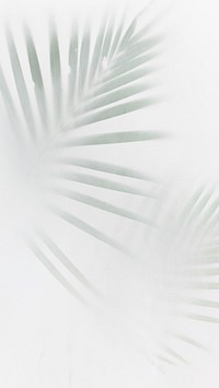 Blurred green palm leaves white | Premium Photo - rawpixel