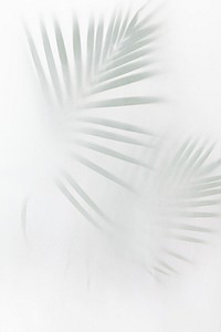 Blurred green palm leaves on off white background