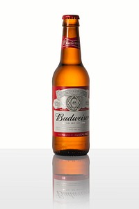 Budweiser king of beers in a glass bottle. JANUARY 29, 2020 - BANGKOK, THAILAND 