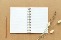 Blank white notebook with dried plant on beige background