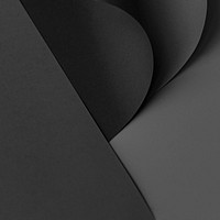 Curled black chart paper on a dark gray background