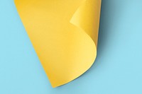 Blank yellow curled paper mockup on a blue background