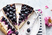 Closeup of a homemade blueberry cheese cake. Visit <a href="https://monikagrabkowska.com/" target="_blank">Monika Grabkowska</a> to see more of her food photography.