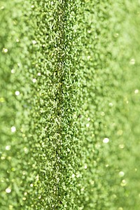 Shiny green glitter textured background